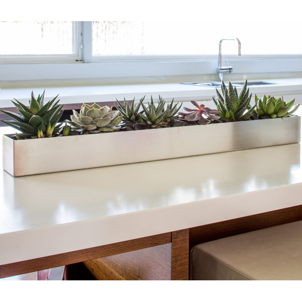 Veradek Geo Stainless Steel Planter Box & Reviews Wayfair